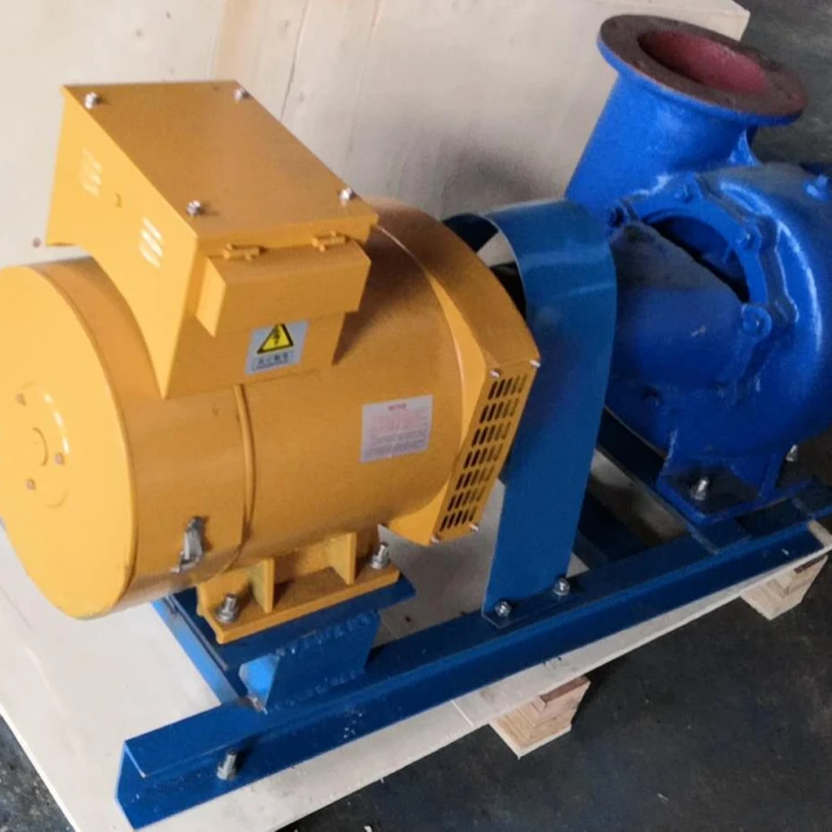 3kw new design brush induction horizontal axial kaplan micro hydro turbine generator home use water power turbine for low head