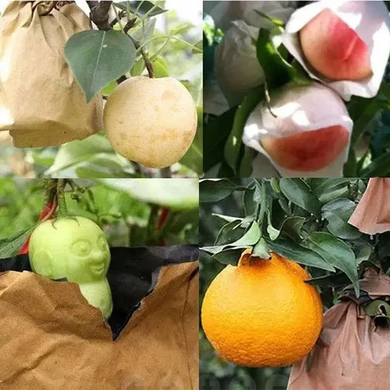 Paper Mango Bag Fruit Protection Growing Bag