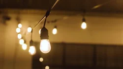 48ft LED String Garden Lights with 15 Pcs S14 Bulbs IP65 Outdoor Yard Decorative Lights