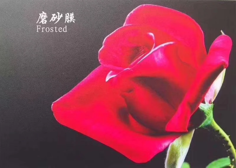 Photobook PVC Holographic Film Moisture-Proof Paper Decorative Adhesive Cold Lamination Film for Photos and Crafts