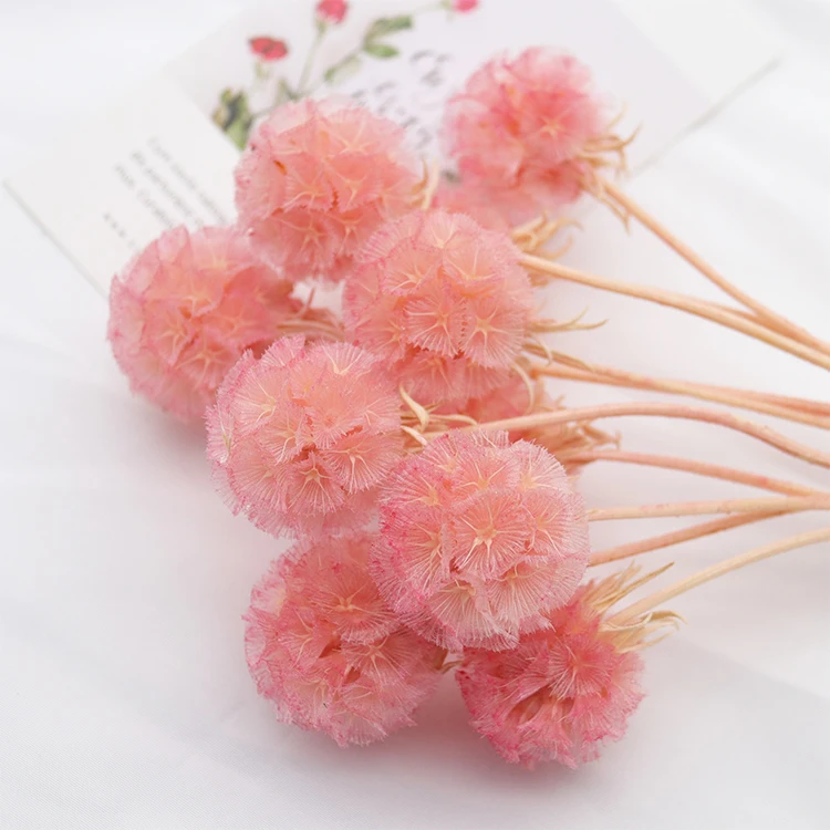 GH-36 2021 hot sale cheap natural resin dry flower home/wedding decoration Pinwheel fruit dried flowers
