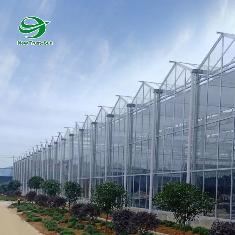 
custom size agricultural grow hydroponics system tomato glass greenhouse 