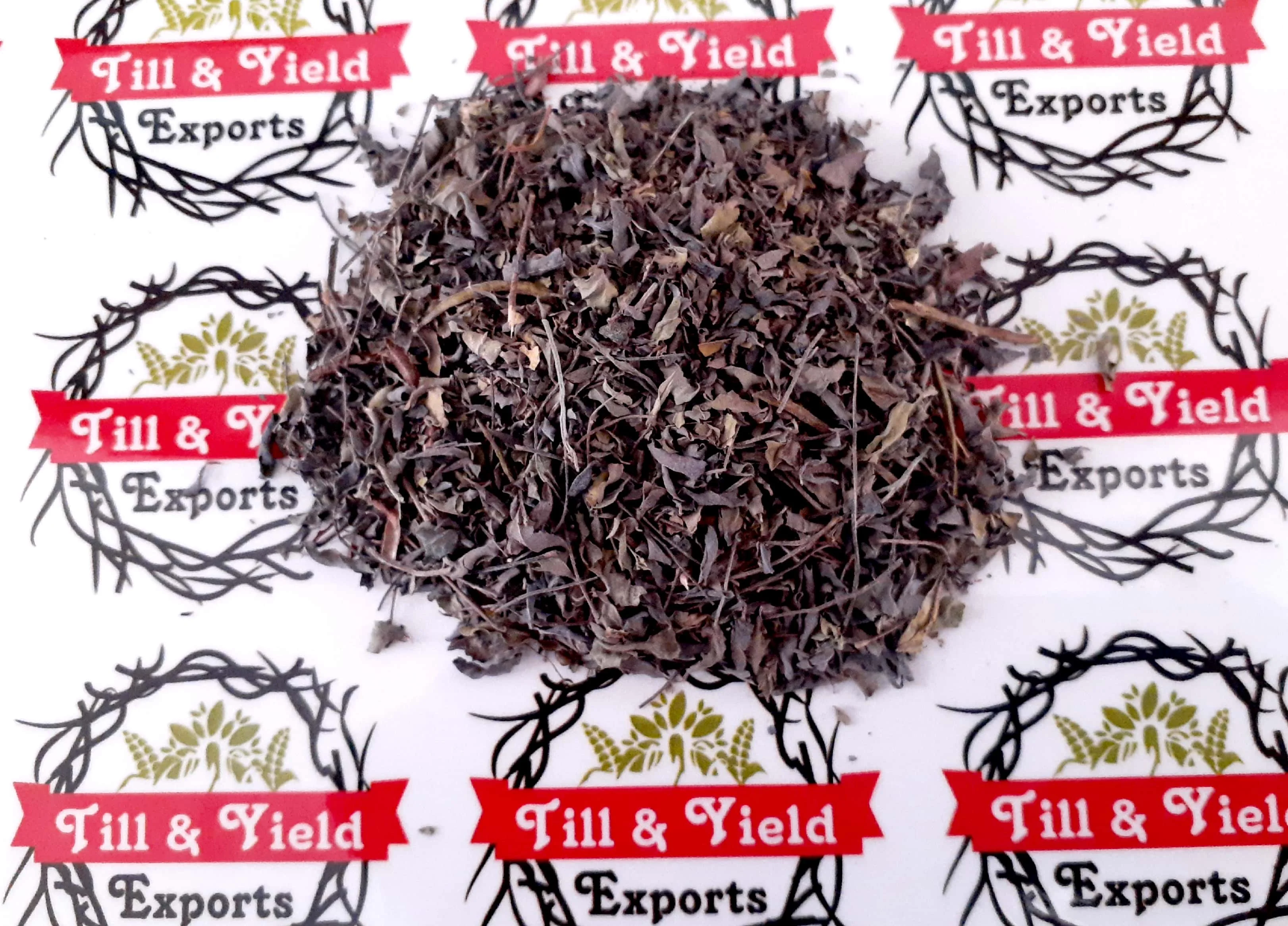 Export Quality Herb Indigo/ Indigo Tinctoria/Asian Indigo Promotes Hair Quality Solve Hair Problems