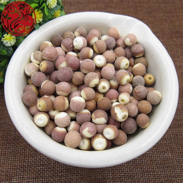 
whole gorgon fruit Qian shi dried botanicals herbs 