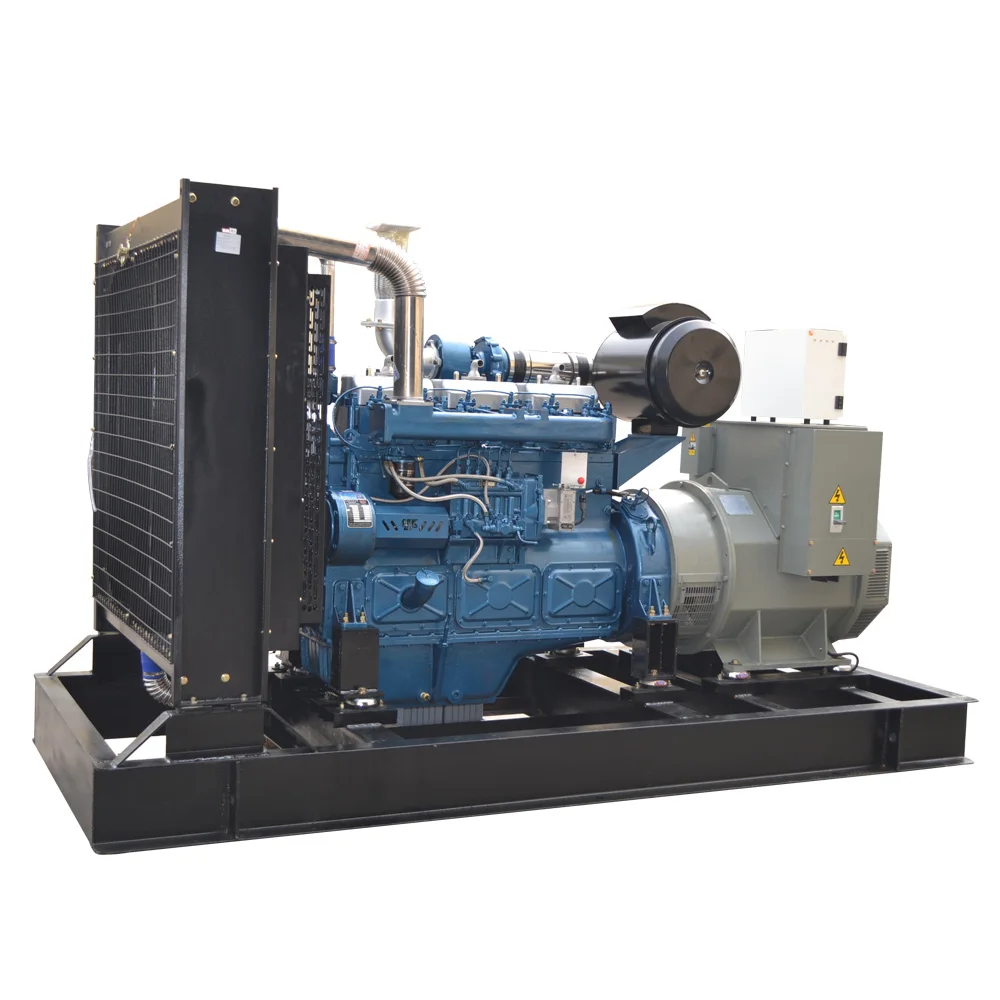 Open Type Weifang 20KW magnetic generator free electricity