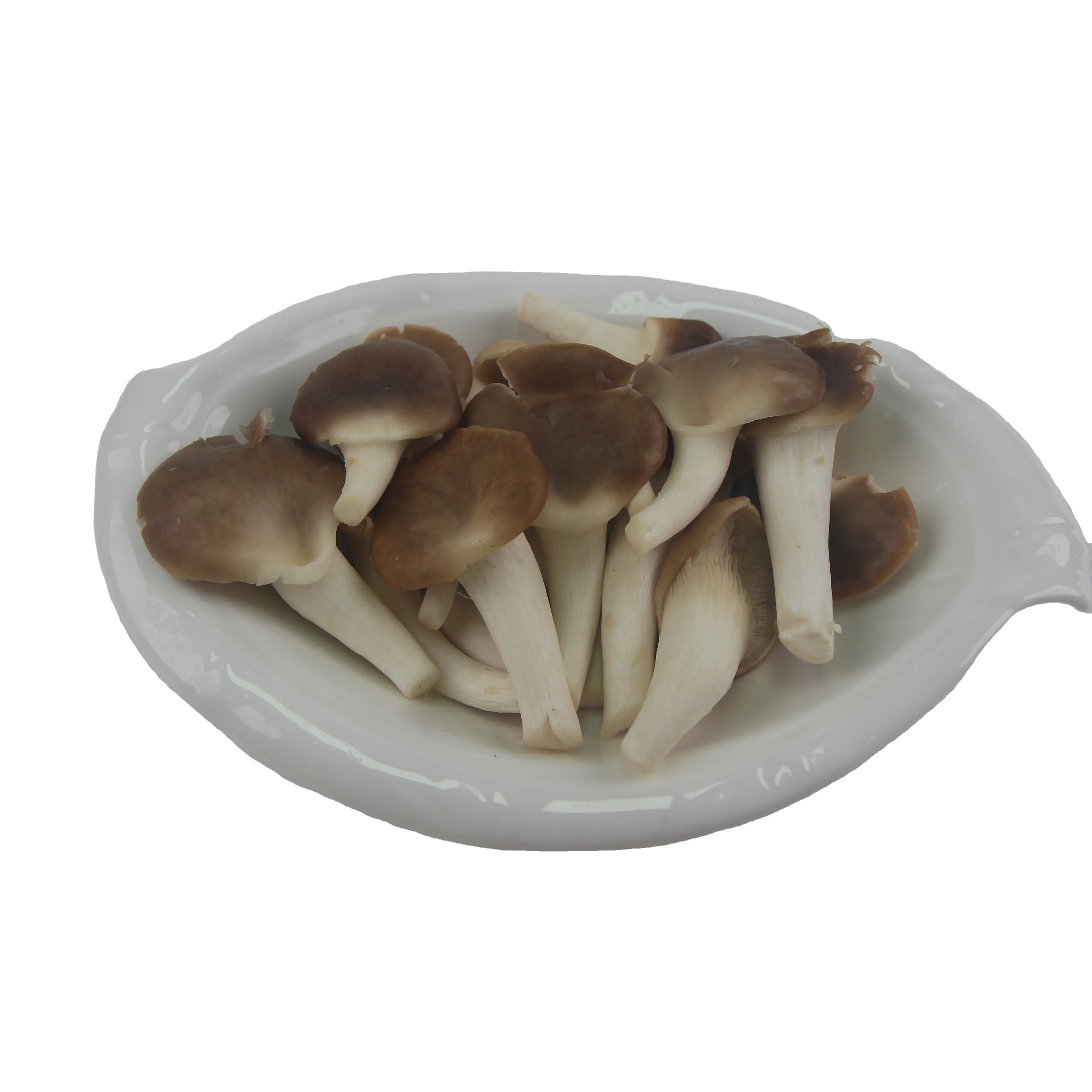 Frozen IQF White Pearl Grey brown phoenix Oyster logs Fungi P Pleurotus Ostreatus Mushroom Sliced Winter elm Cultivating Freeze