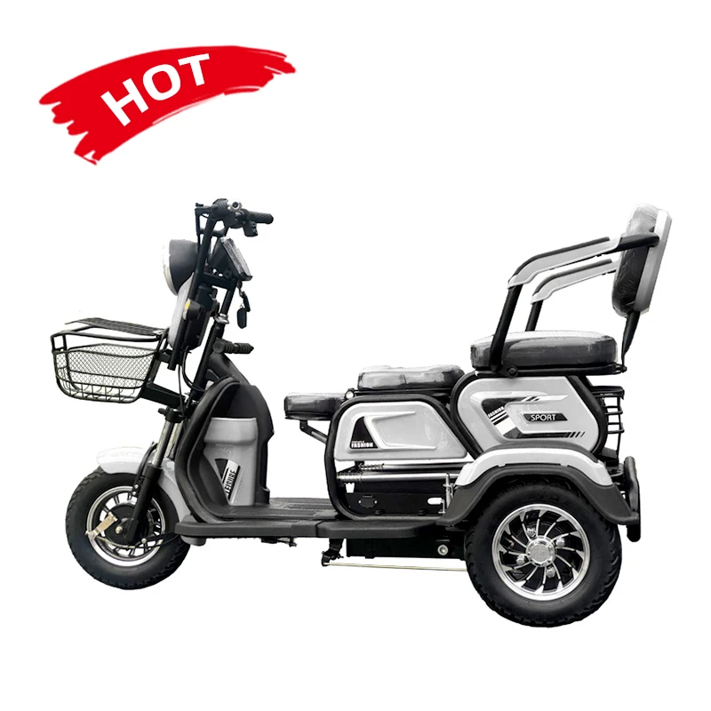 Wholesale Special Hot Selling Simple Operation Electric Cargo Tricycle Bike Apply To Adult Electric Tricycle In Israel