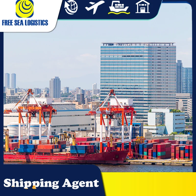 professional shipping from Shenzhen/Guangzhou/Yiwu to Saudi Arabia Dubai Kuwait lcl sea shipping