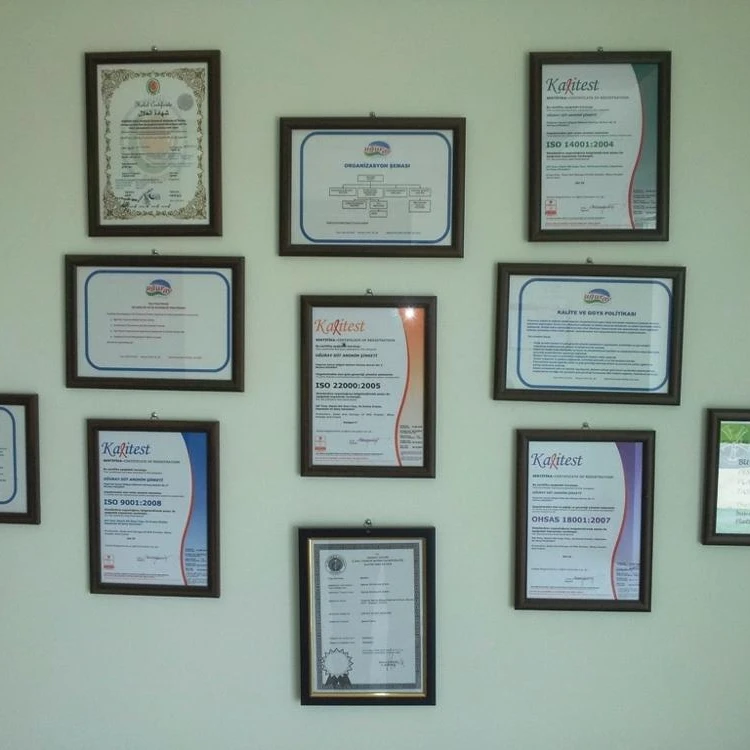 whey powder (Demineralised)