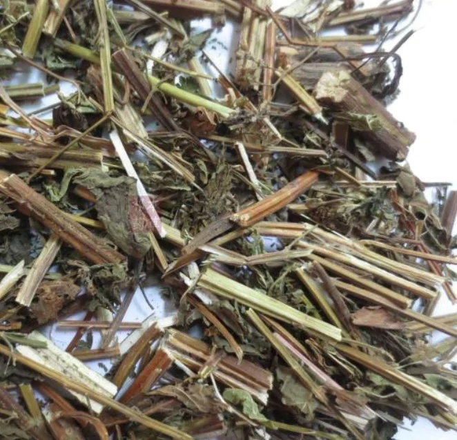 Dried  natural Rabdosia amethystoides aboveground part cuts