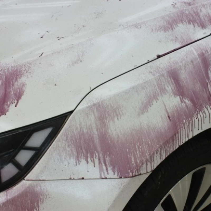 [WAXLING] Korea Premium Car Care Brand Good Quality Gloss Waterless Wash Car Care Product For Car Lover Quick-drying Product