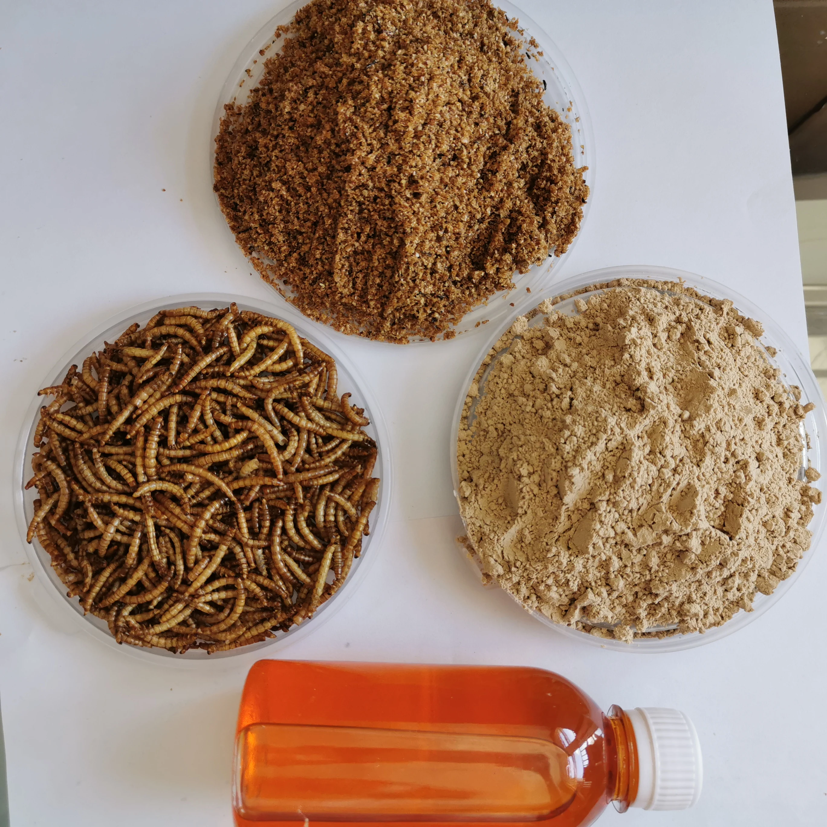 [HOT - SALE ]DEFATTED MEALWORM PROTEIN POWDER HIGH QUALITY / TOP GRADE / 100% NATURAL AND GOOD PRICE FOR SALE / EXPORT