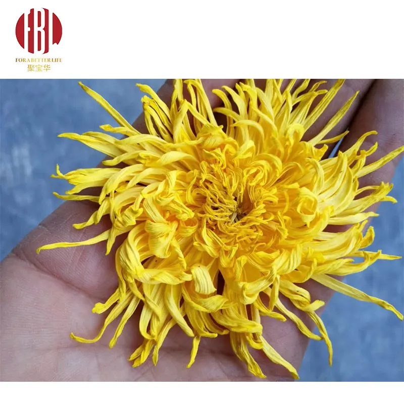 Manufacturer Bulk Dry Chrysanthemum Petals Tea Beauty effect tea