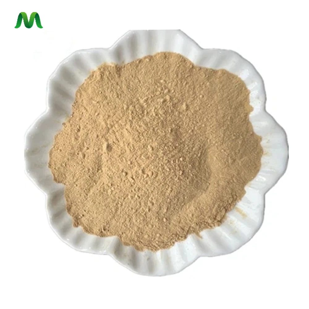 Manufacturer Supply  Tea Saponin 60% Powder Camellia Olifera