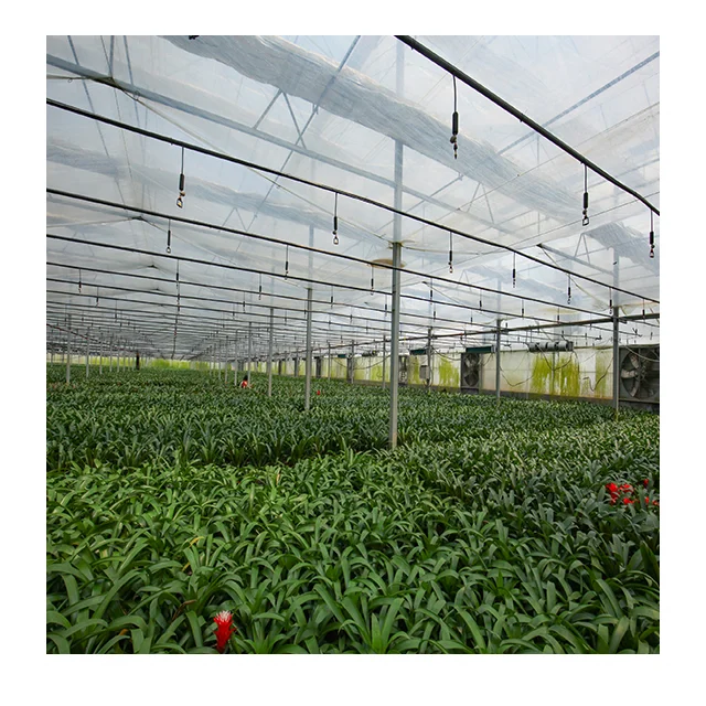 Wholesale Intelligent Climate Control System Glass Dome House Glass house Other Greenhouses For Vegetables/Flowers