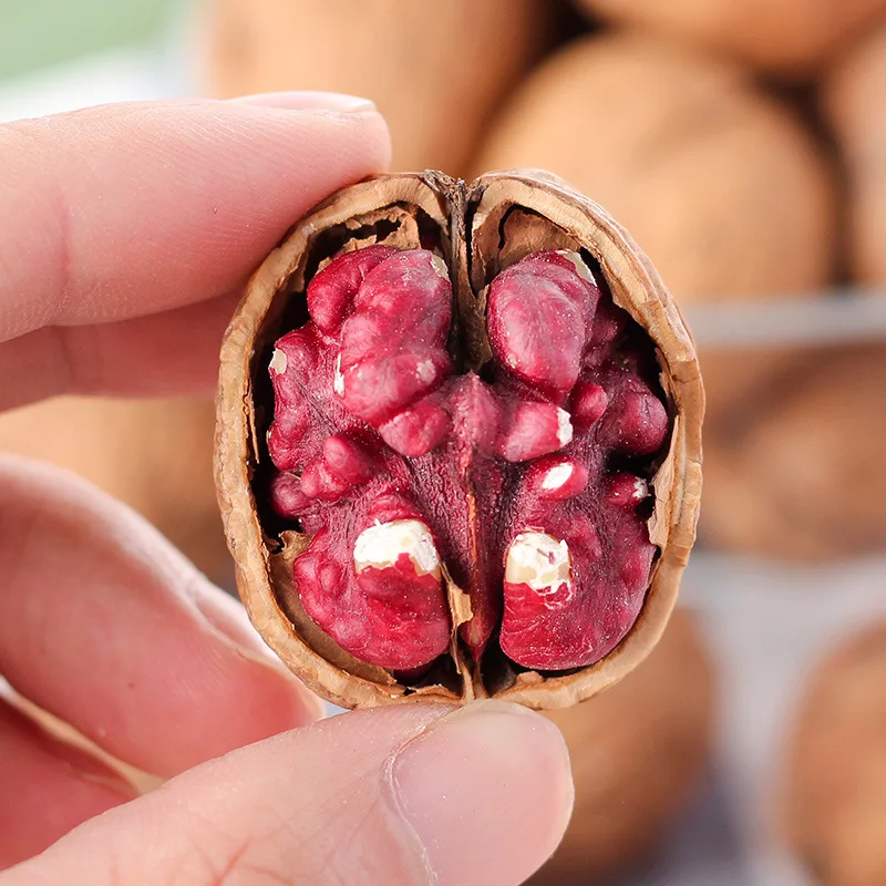 Popular sale wholesale red walnuts cost-effective Chinese red walnuts in shell