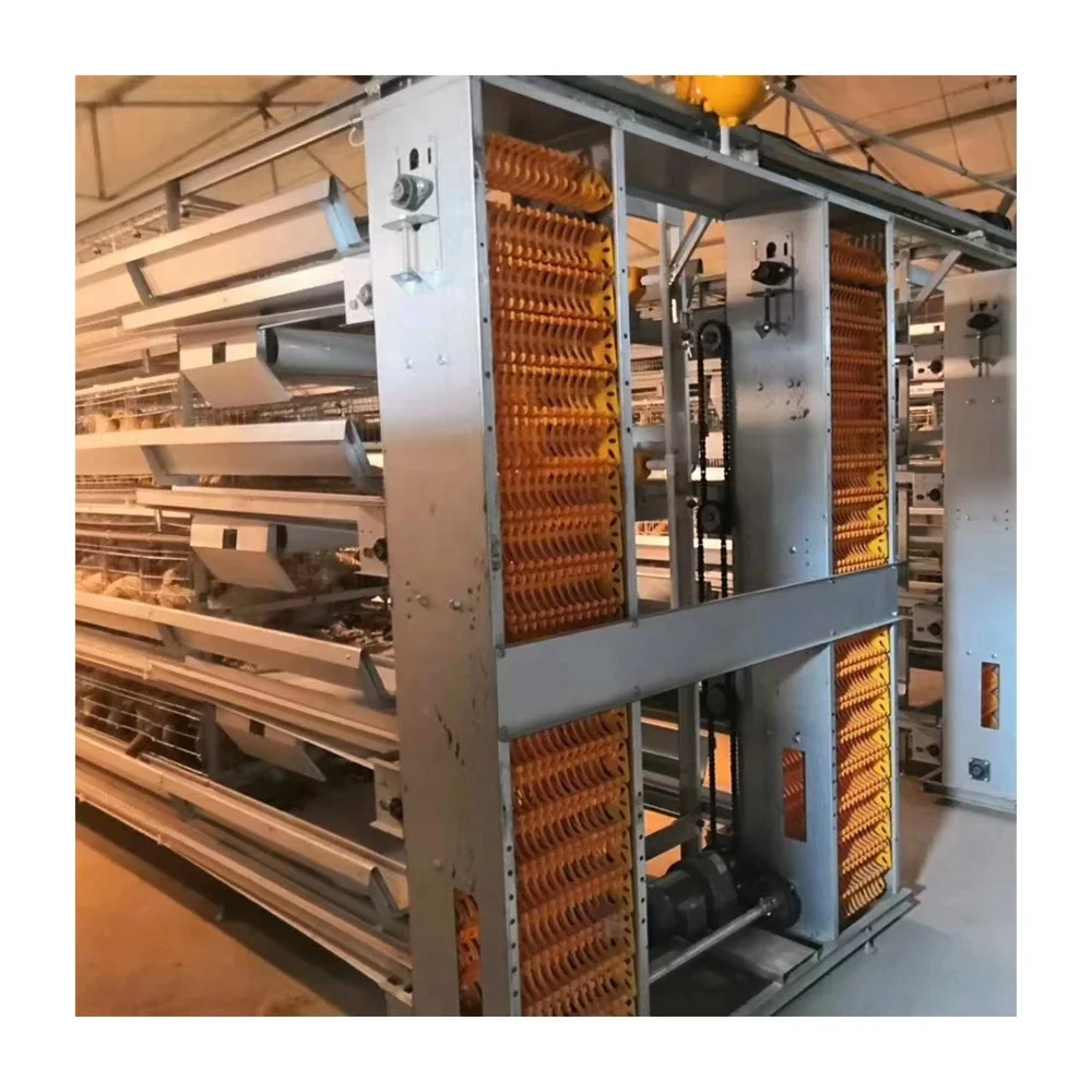 10000 птицы оборудование для птицеводства клетка дизайн