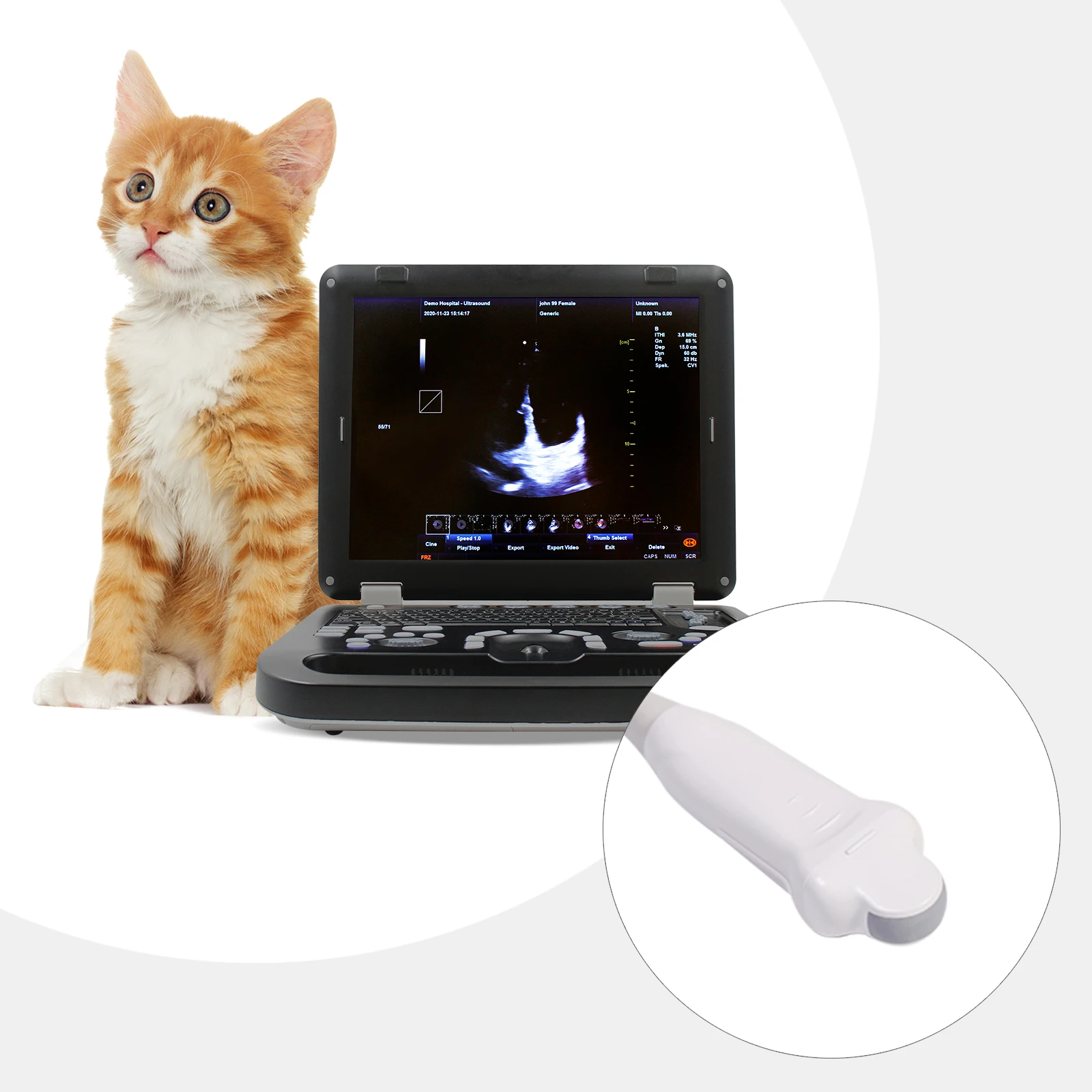 CONTEC CMS1700B-VET veterinary ultrasound machine Abdominal ultrasonography scanner Obstetric veterinary pregnancy detector