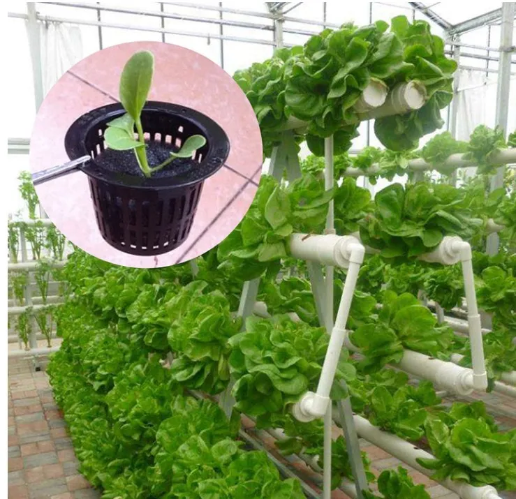 planing basket system 3 inch floating raft grow net cup planting diy hydroponic nursery cups