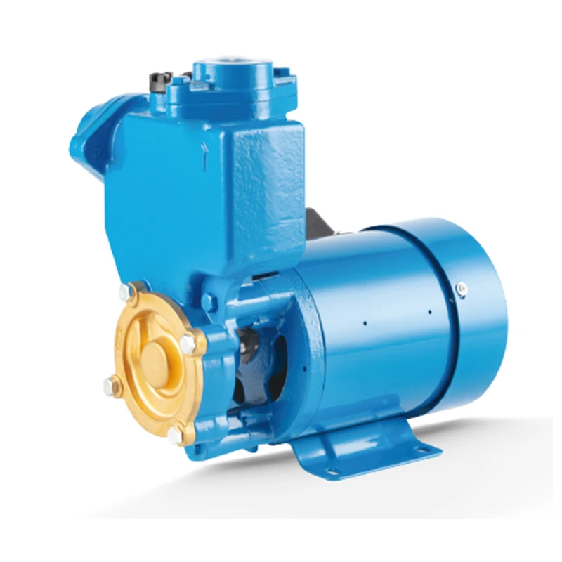 PS Domestic Auto Station mini dc single phase three Self-priming long distance water pumping motor automatic pump