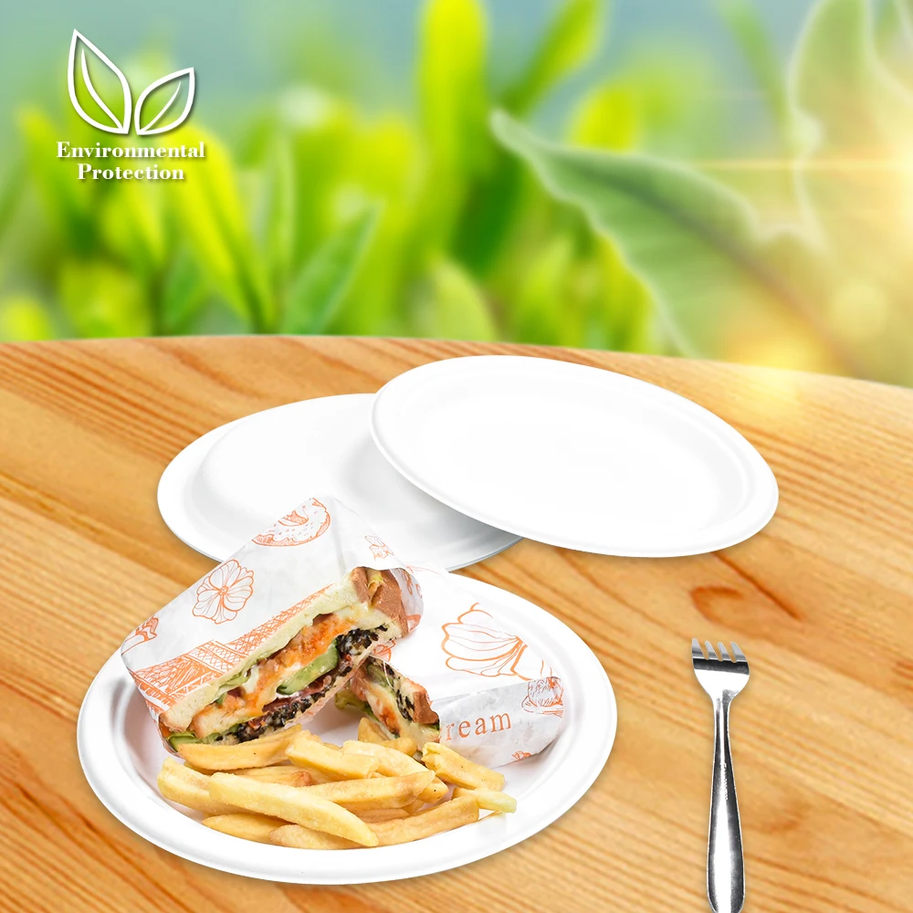 Sunzzatrays restaurant take away dinner compartmetns compostable wedding mini party trays sets disposable paper plates