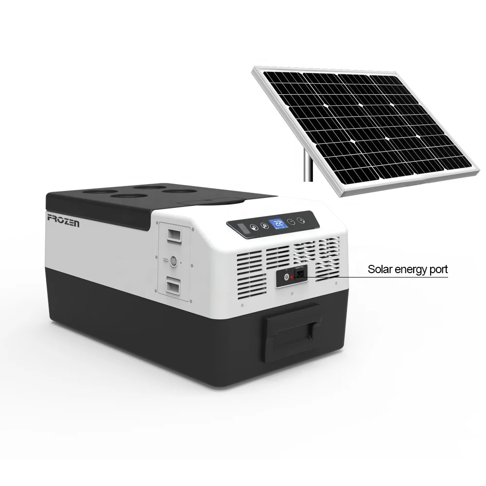 15L Detachable Battery Camping Cooler box 20L Portable Mini Electric  Freezer  Picnic Vaccine Fishing Cooler Box