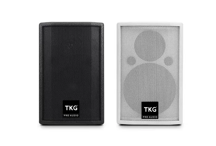 TKG 100watt 100W  conference meeting speaker A8 8 inch speaker bass