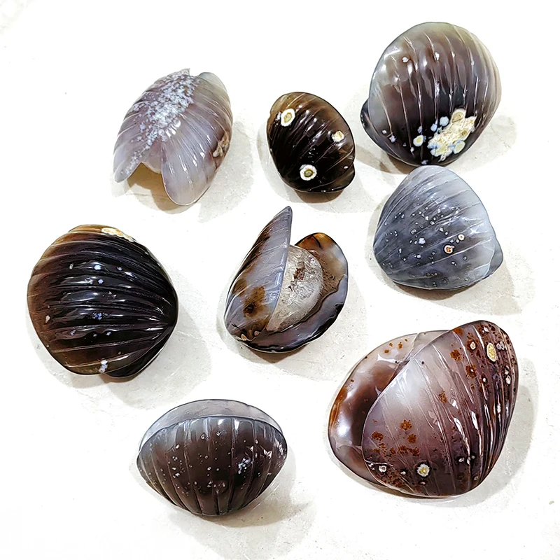 Factory price Wholesale crystal carving shell healing crystal carved Sea shell  crystal crafts agate conch shell for gift