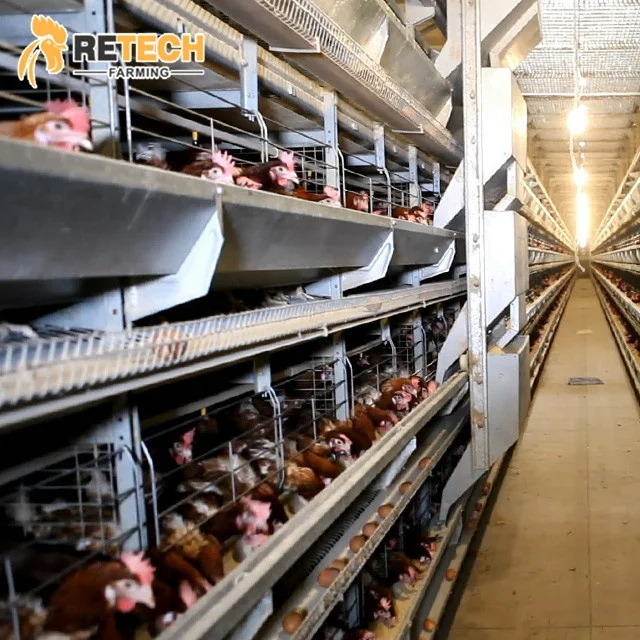 Chicken Farm Environment Control System Poultry Water Cooling Pad