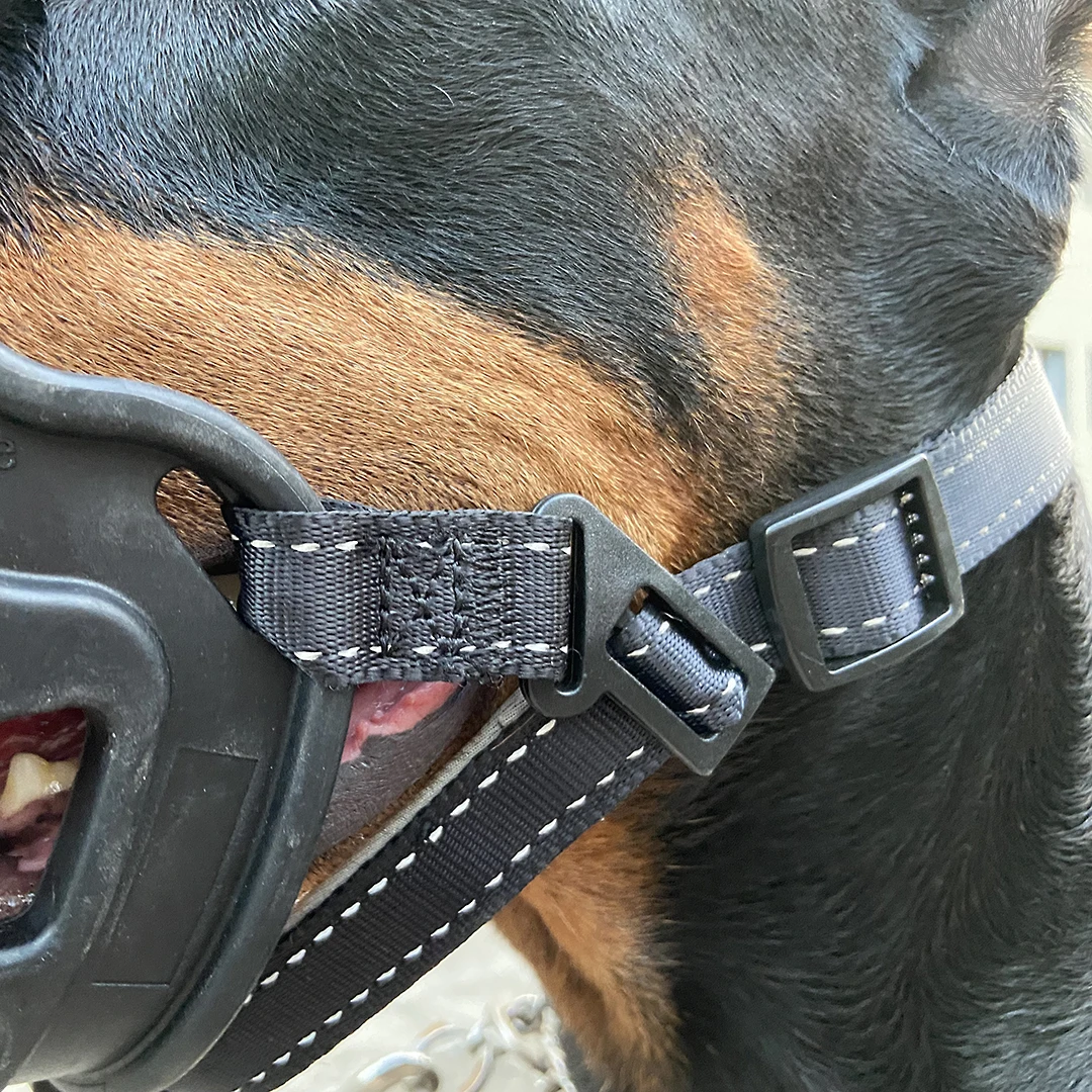 Factory OEM ODM anti biting stop chewing bark dog pet muzzle TPE and nylon dog muzzle