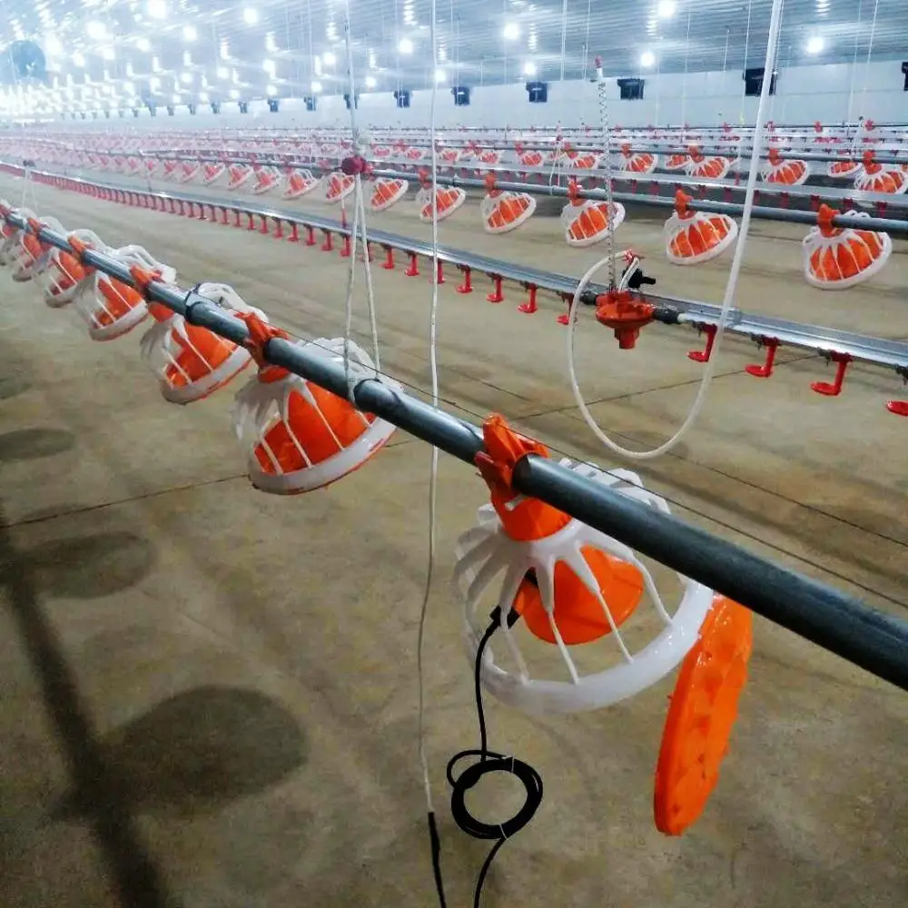 Customized Large Chicken Coop Steel Structure Metal Automatic Boriler Hen House Cage