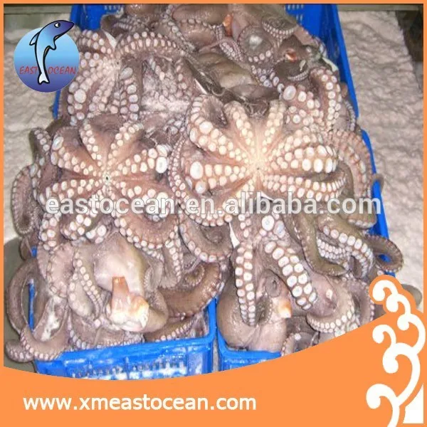 Eastocean Professional factory frozen boiled whole octopus