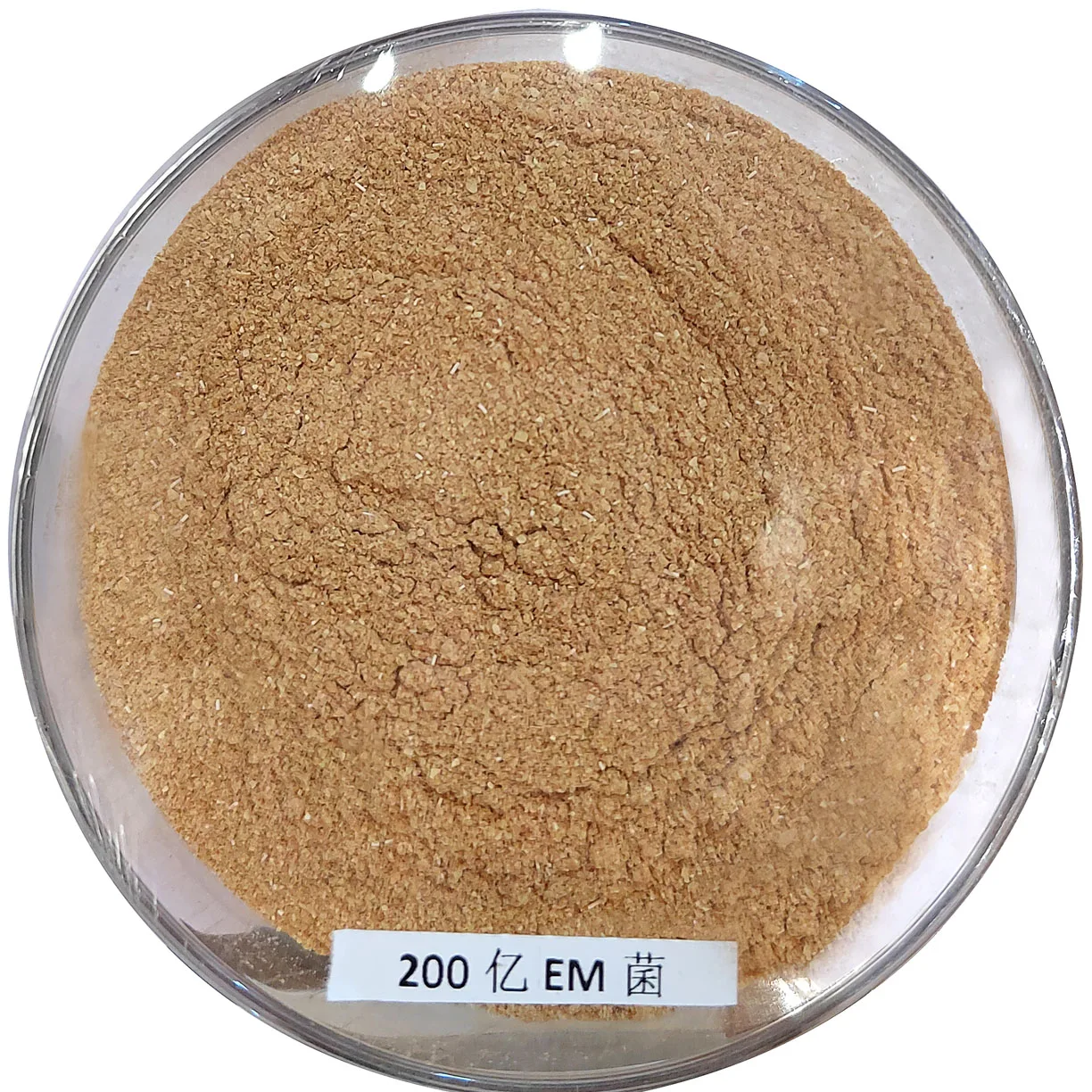Super Quality Improve Intestinal Health Compound Probiotics Poultry Antibiotic