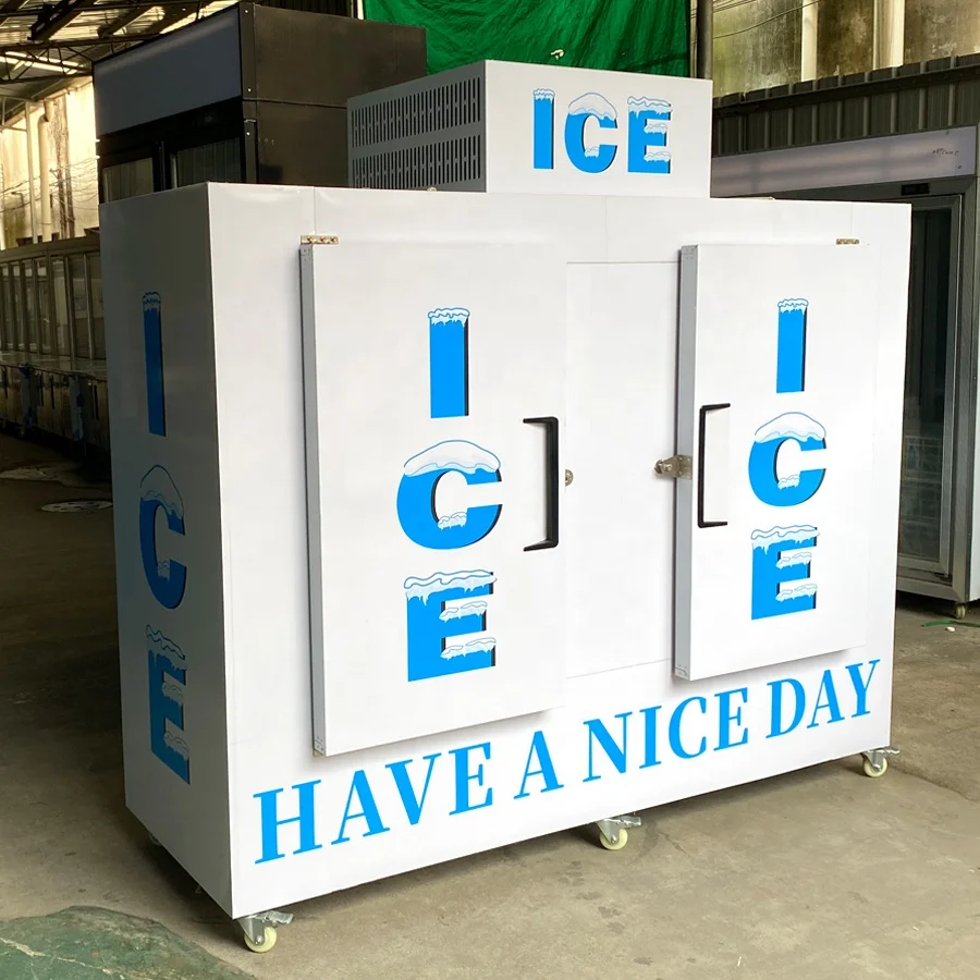 Double doors cold wall ice bags merchandising storage freezer box