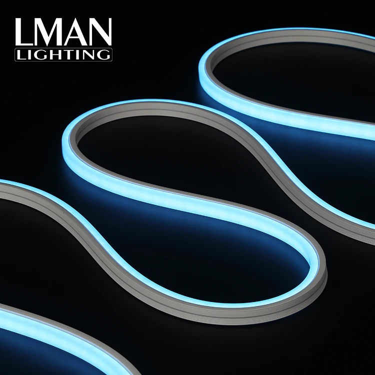 For Engineering Project Application Ip65 Waterproof 10*10mm Smd 2835 Dc 12v 24v Led Neon Light