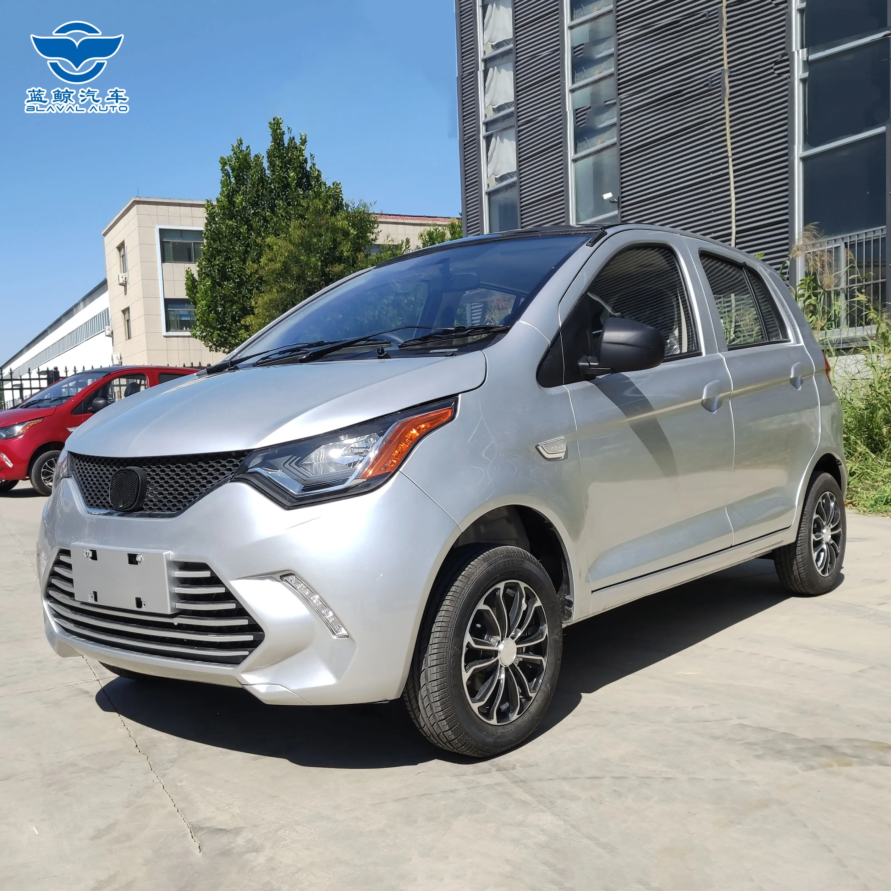 Electric Vehicle Dual Airbag Chinese Enterprise Supports SKD/CKD Adult Electric Vehicles