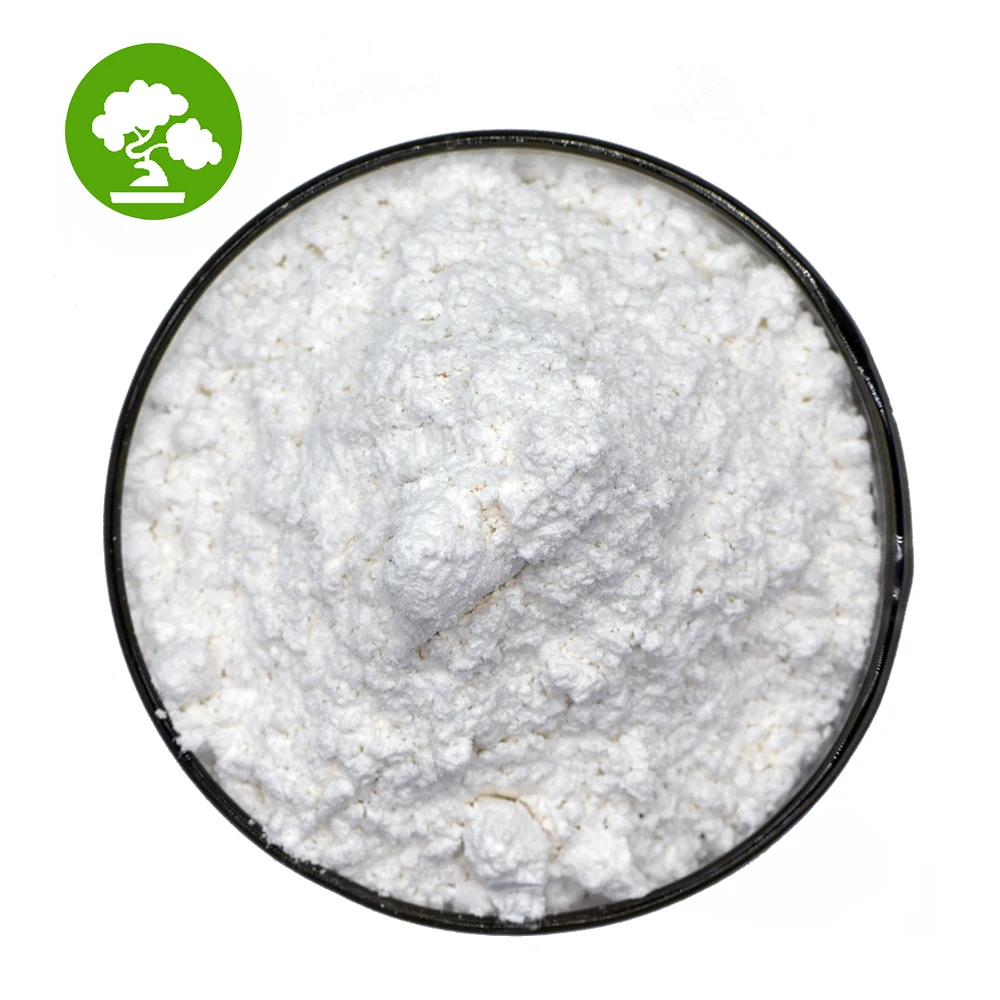 High Quality Freeze Dried Coconut Fruit Powder Bulk Coconut Water Powder