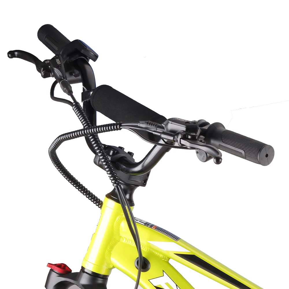 20inch Kids&Adult Electric Balance Bike 36V 800W Hub Motor Ebike 36V 10Ah Lithium Battery Electric Push bike