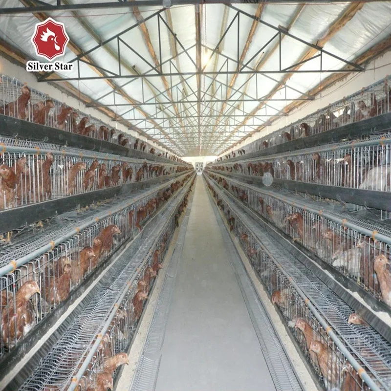 Cheap price poultry farming cage agricultural equipment for layer chicken