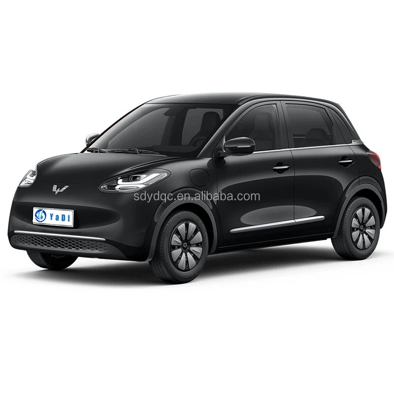 Electric Car Wuling Miniev General Global Manufacturing Quality wholesale price