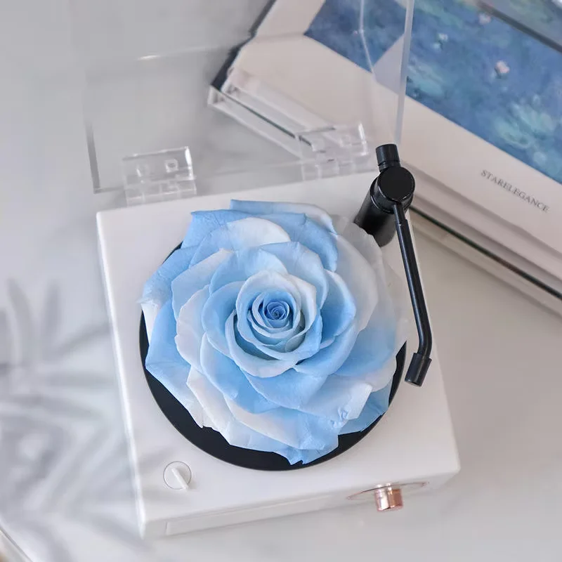 2025 New Arrival Forever Natural Multicolor Flower Long Life Real Immortal Rose Preserved Flower Bluetooth Player Gift Sets