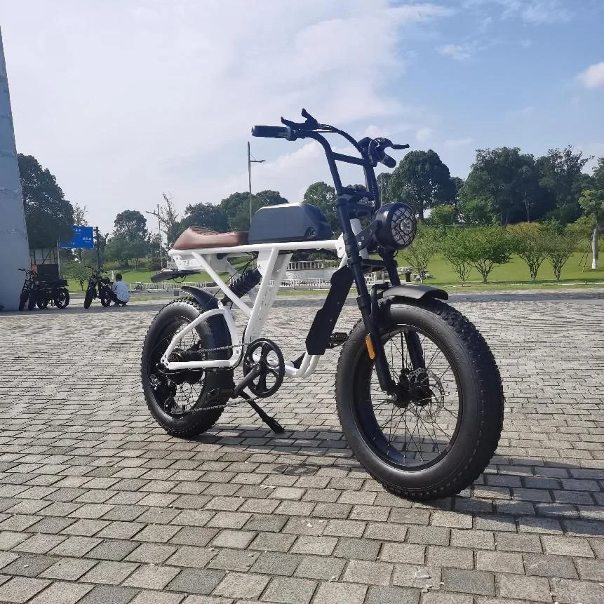 Лидер продаж, велосипед Minako V8 с двумя сиденьями, запасные электрические детали, аксессуары