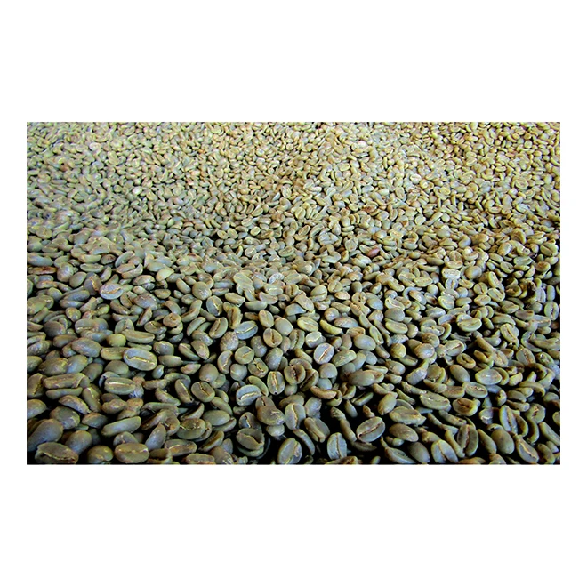 
Hawaii NeW Crop Traditional 100LB Cheap Raw Coffee Green In Beans 