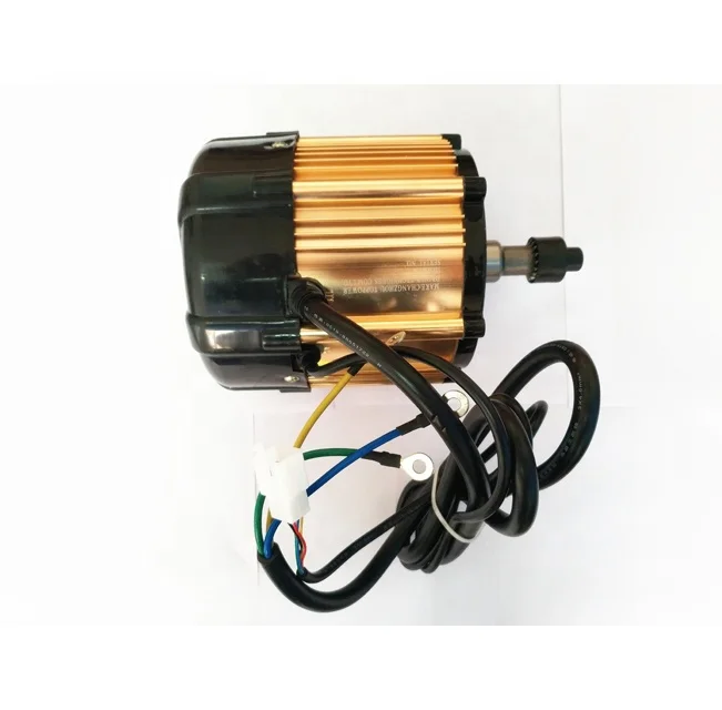 Cargo Electric Tricycle 1000W 60 Volt Brushless DC Motor For Adult