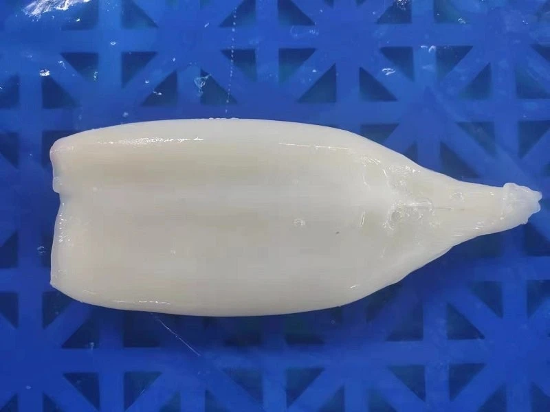 L65 giant skinless squid tube hot sale frozen squid tube with good prices
