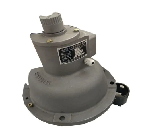 Passenger Hoist Safety Device