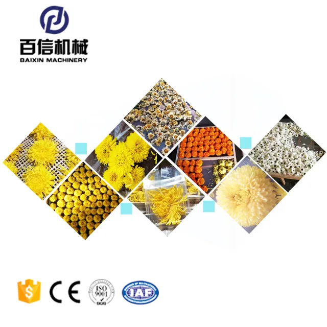 Factory Sales Leaves Tobacco Leaf Cotton Hemp Seed Plant Processing Dryer Machine