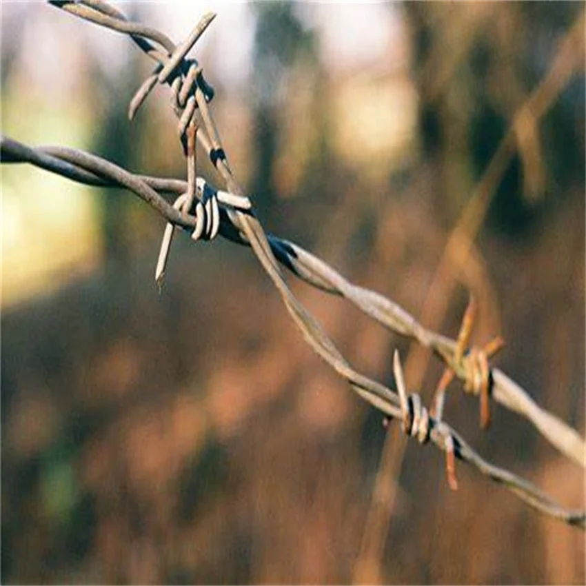 China supplier  prison helical barbed wire barbed wire arm  fence barbed wire steel chain hot dipped galvanized