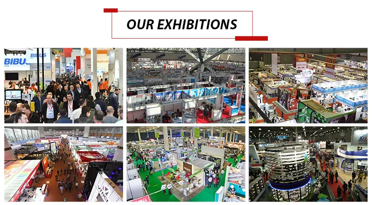 Source factory without intermediaries Nutritious Balanced Beef Flavor All Age Dry Cat Food