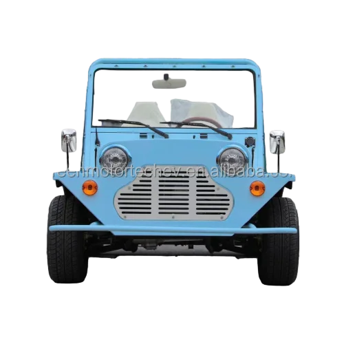 4 Seat-MOKE Blue Electric Vehicle with Lithium battery 96v speed 70km/h